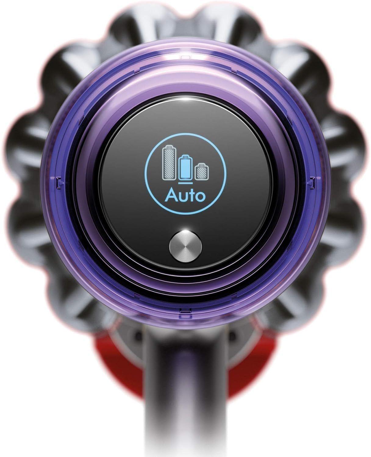 Aspirador inalámbrico Dyson V11 Animal Morado-2