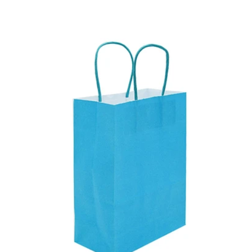 Bolsa De Papel Pequeña Celeste 16x22x8cm-1