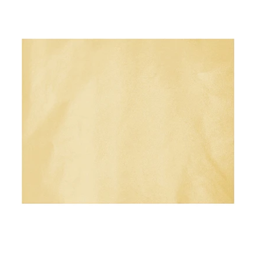 Papel Seda Beige Nacarado 5pcs 50x66cm-0