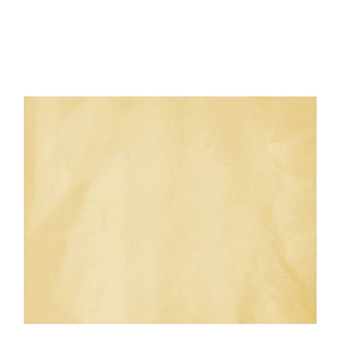 Papel Seda Beige Nacarado 5pcs 50x66cm-1