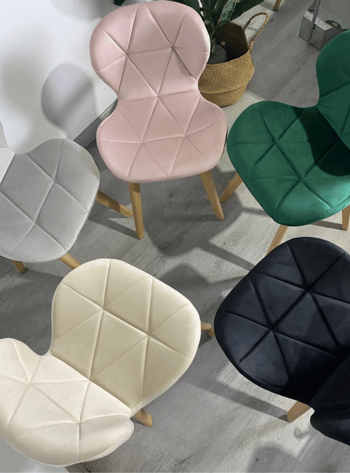 Pack 6 Sillas de Comedor Mariposa Tapizada en Felpa Terciopelo Nordico con patas de madera-3