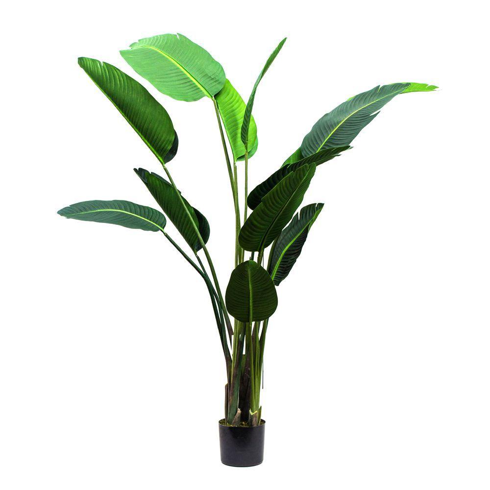 BIRD OF PARADISE 13 hojas190 cm-0