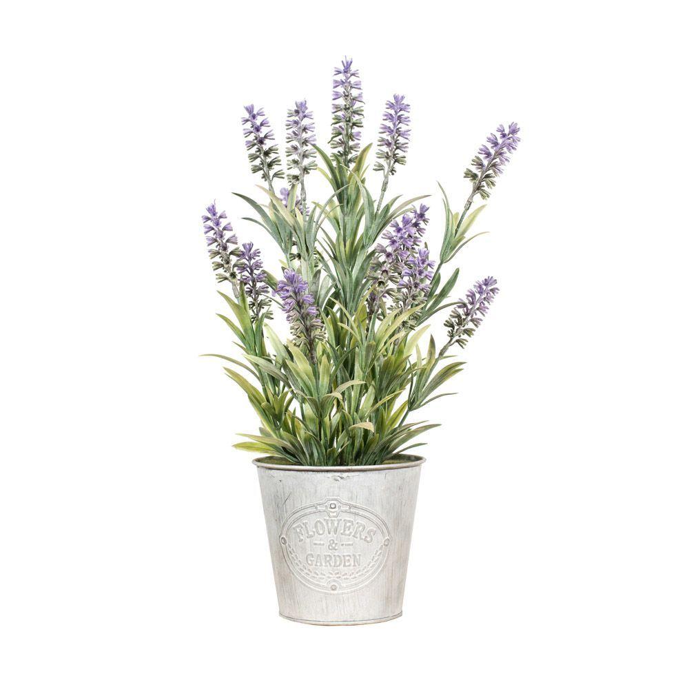 LAVANDA EN BALDE REDONDO 40 cm-0