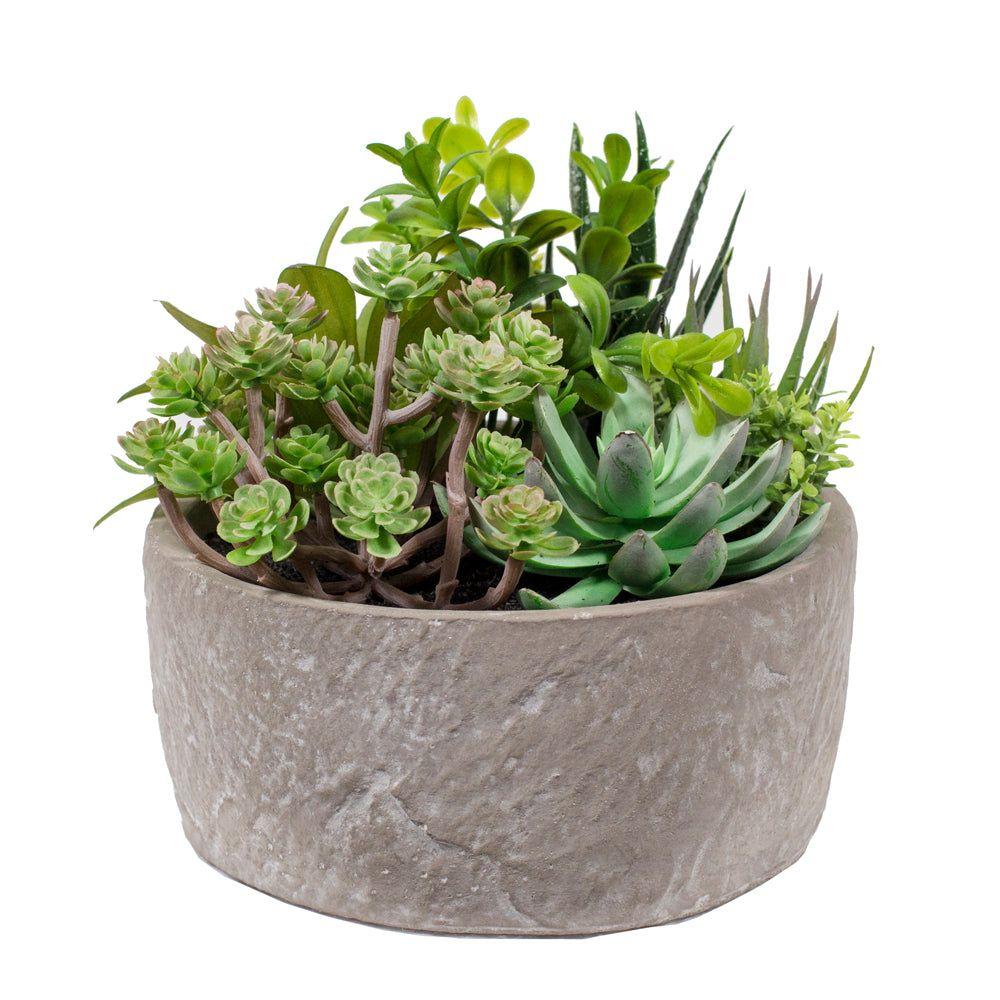SUCULENTAS EN MACETERO IMITACION PIEDRA-0