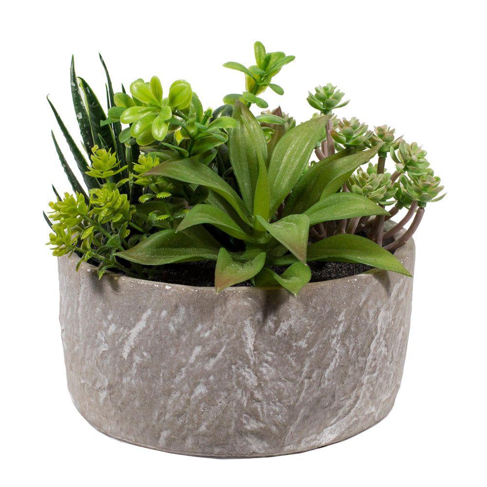 SUCULENTAS EN MACETERO IMITACION PIEDRA-1