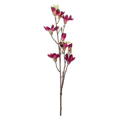 MINI MAGNOLIA  BURGUNDY 94 CM-0