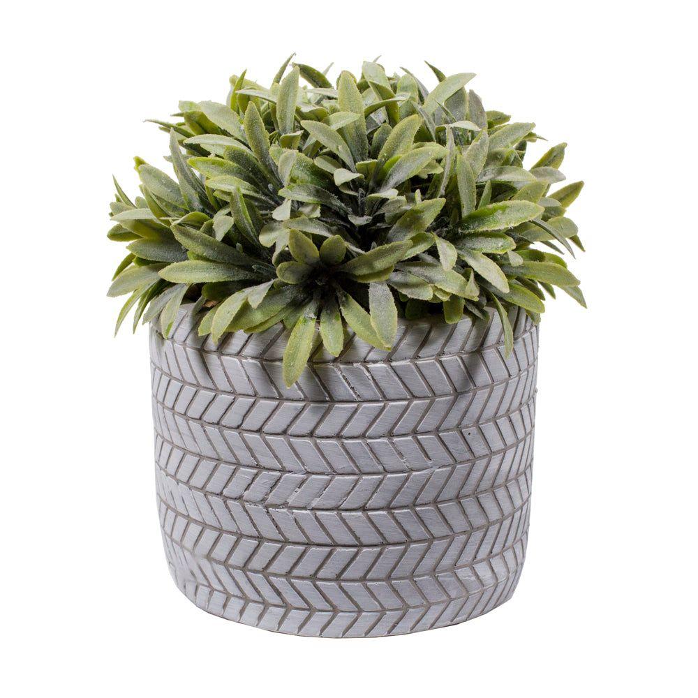 PLANTA DE HOJAS SOBRE MACETERO CEMENTO CON DISEÑO 20 CM-1