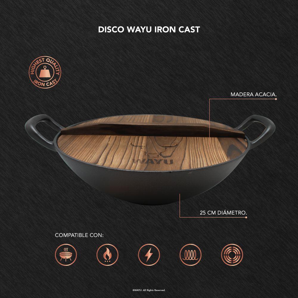 Disco Iron Cast Wayu-3