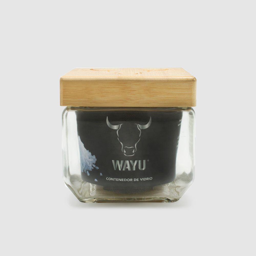 Container Para Sal-2