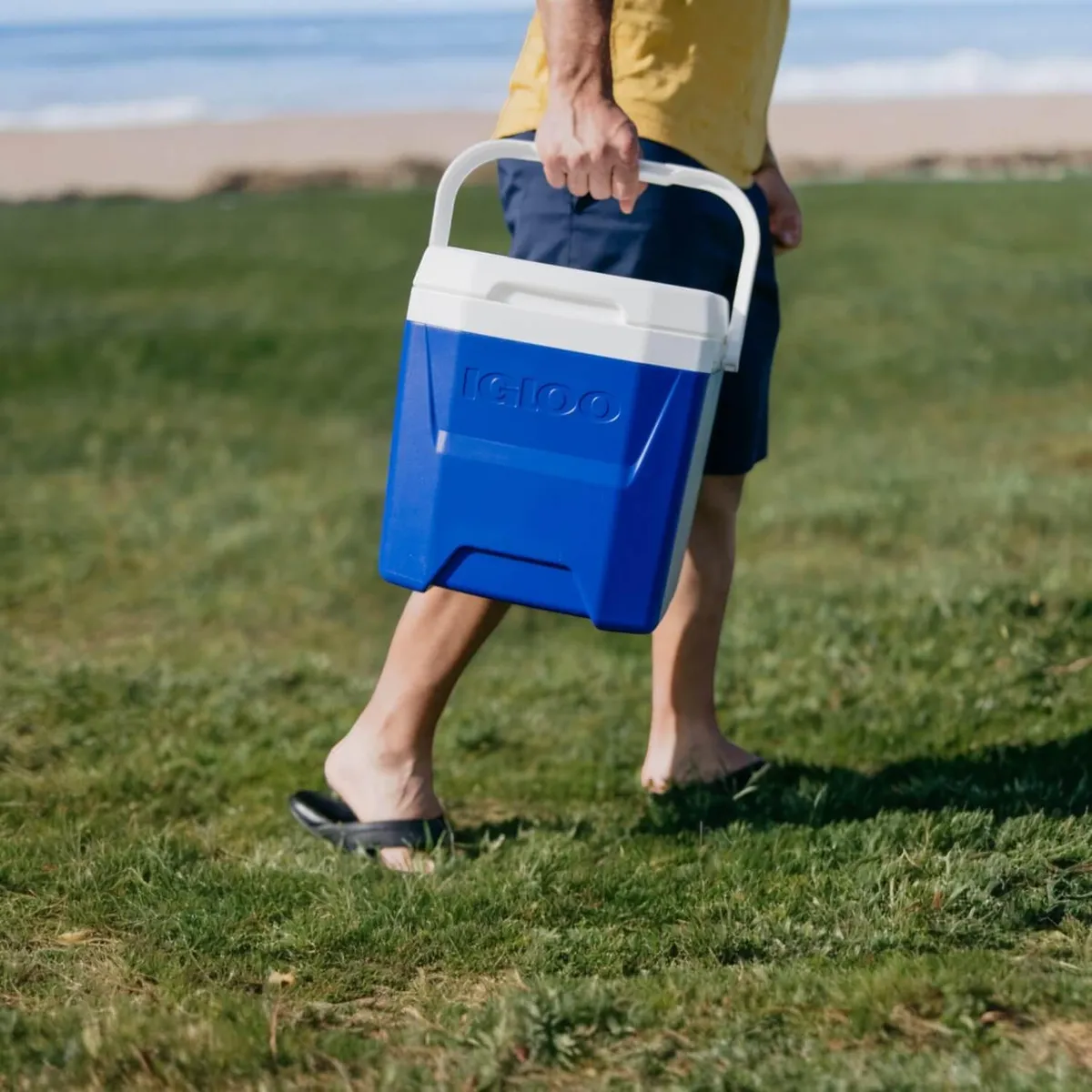 Cooler Nevera Hielera Laguna Azul 11 3 Litros Igloo-2