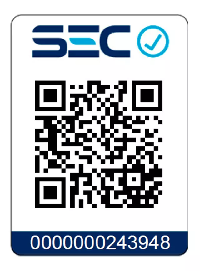 PLANCHA MADEMSA MIR40 A VAPOR -4