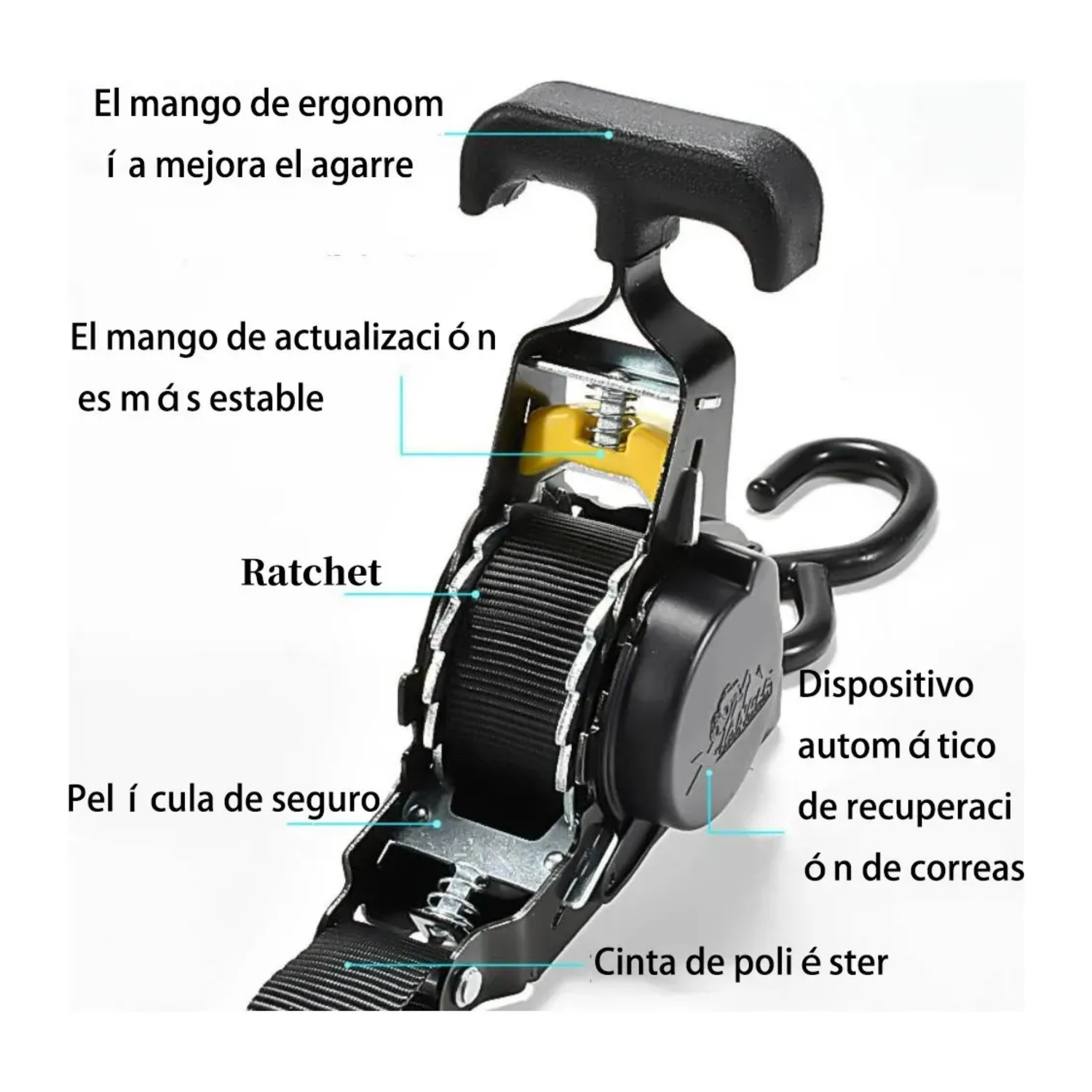 Pack 2 Eslinga Correa Amarre Retráctil 2,5x3 MTS Negro-3