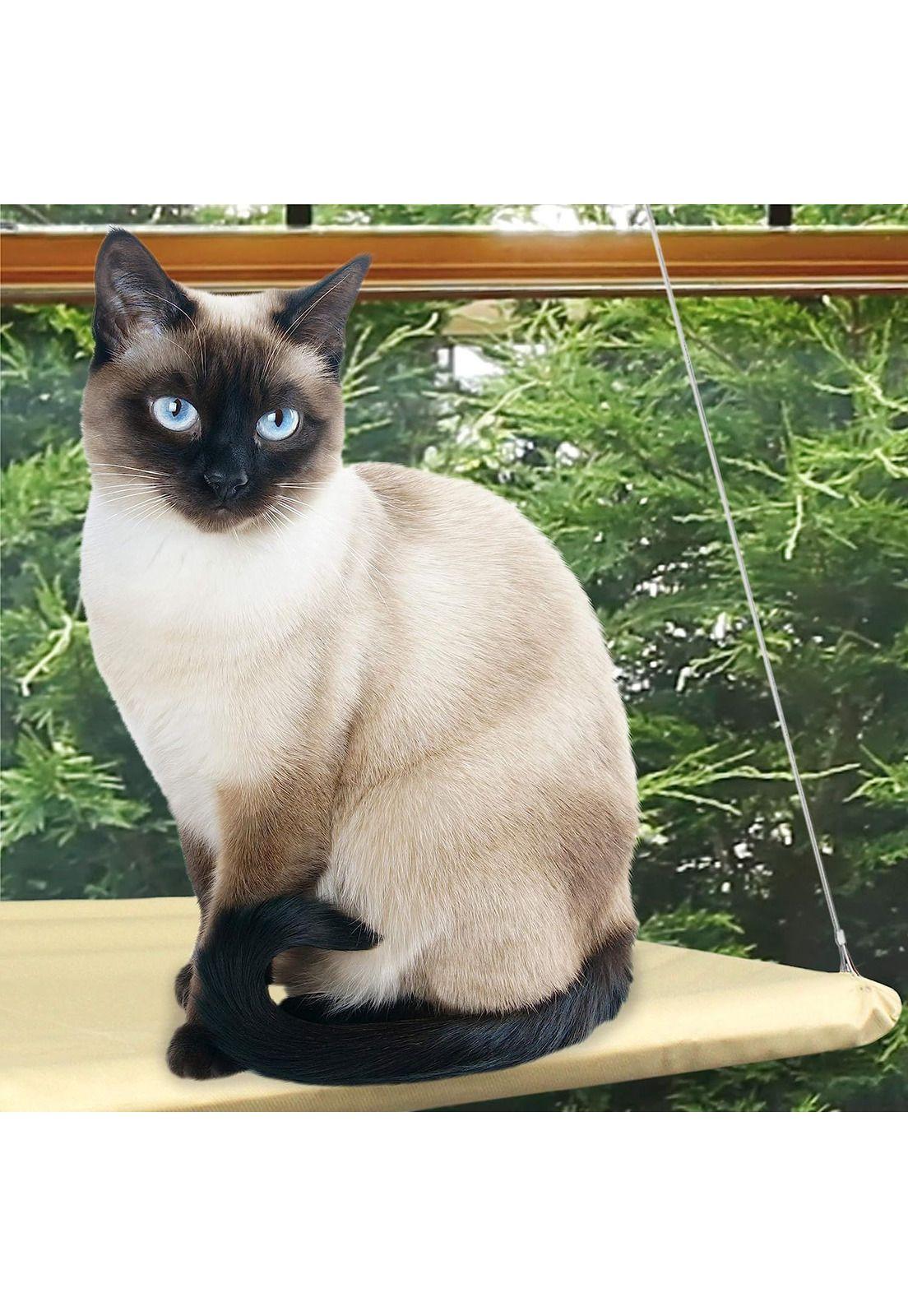 Cama Hamaca Mascotas Ventana Gatos 55x32 CM-3