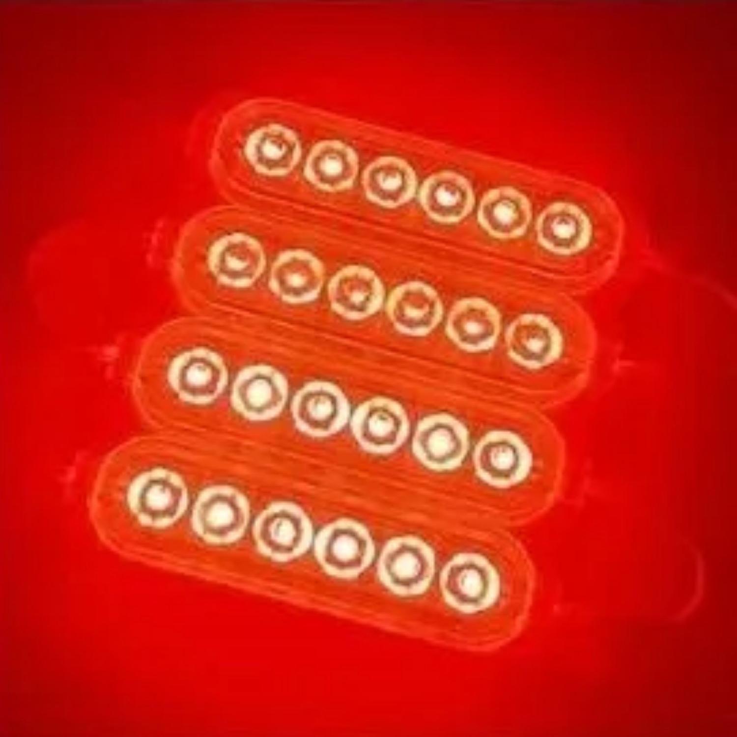 Tira Placa Luz LED Adhesiva 3 MTS 1,5 Watt Rojo-2