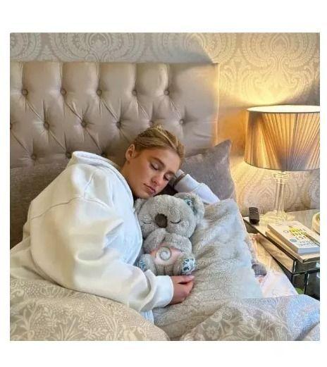 Koala De Juguete Que Respira Alivia La Ansiedad Consonido-2