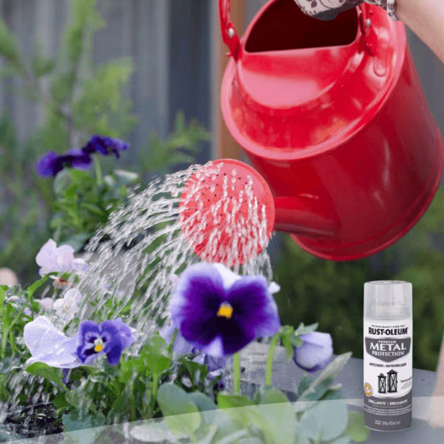 6 Pack Pintura en Spray Metal Protection Transparente Brillante 340 g 700200-2