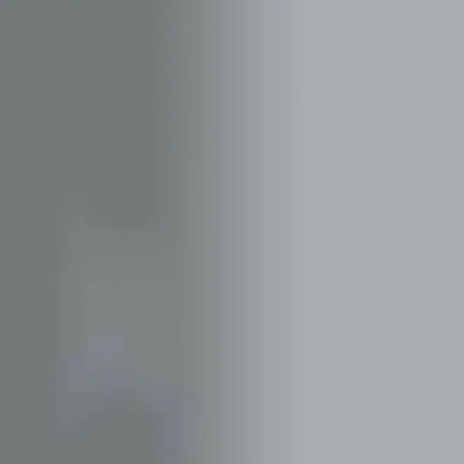 6 Pack Pinturas en Spray Special Metallic Acabado Plata Brillante 312 g 700150-2