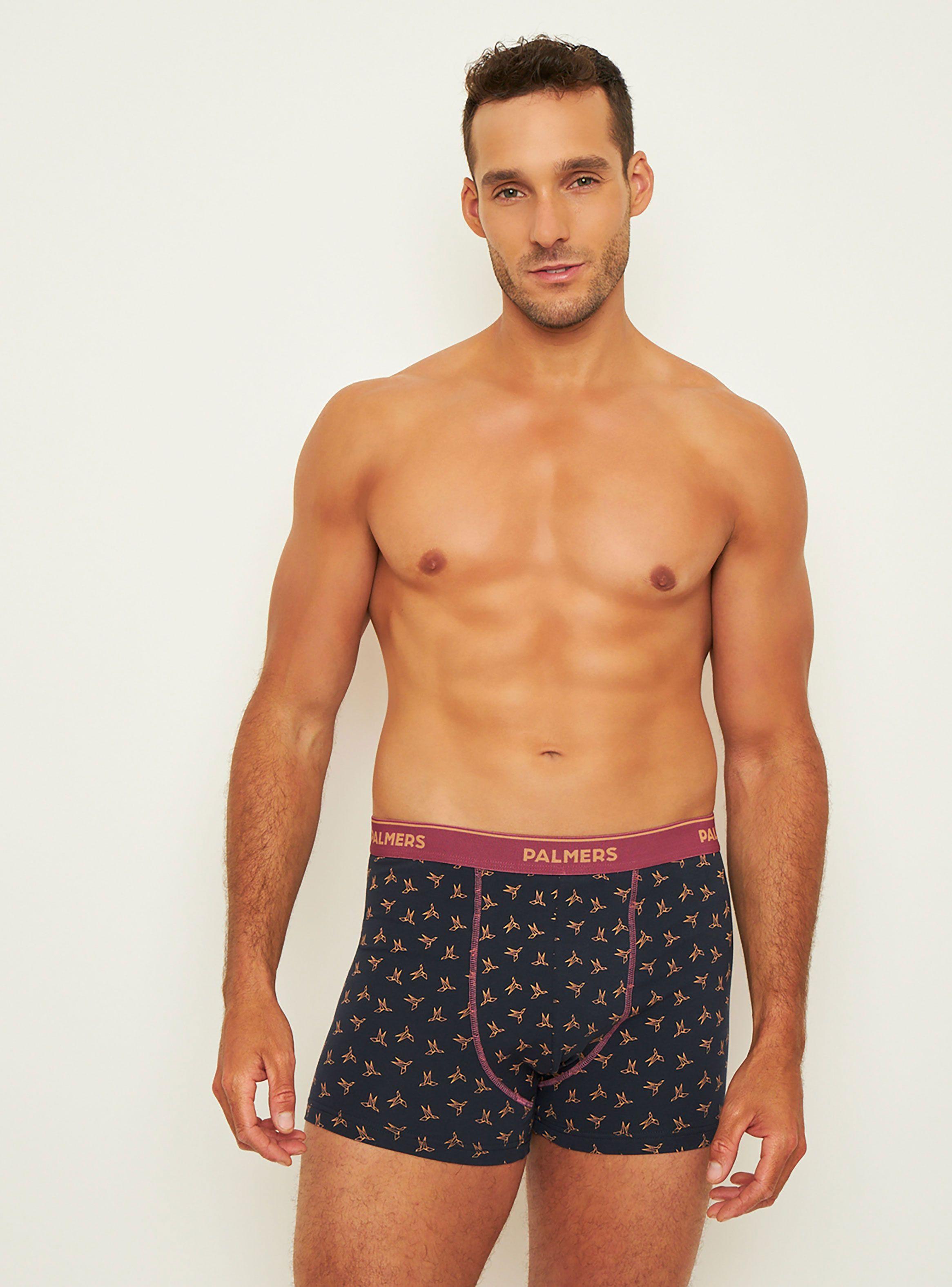 Pack 5 Boxer Medio Algodón Palmers P5109l97-0