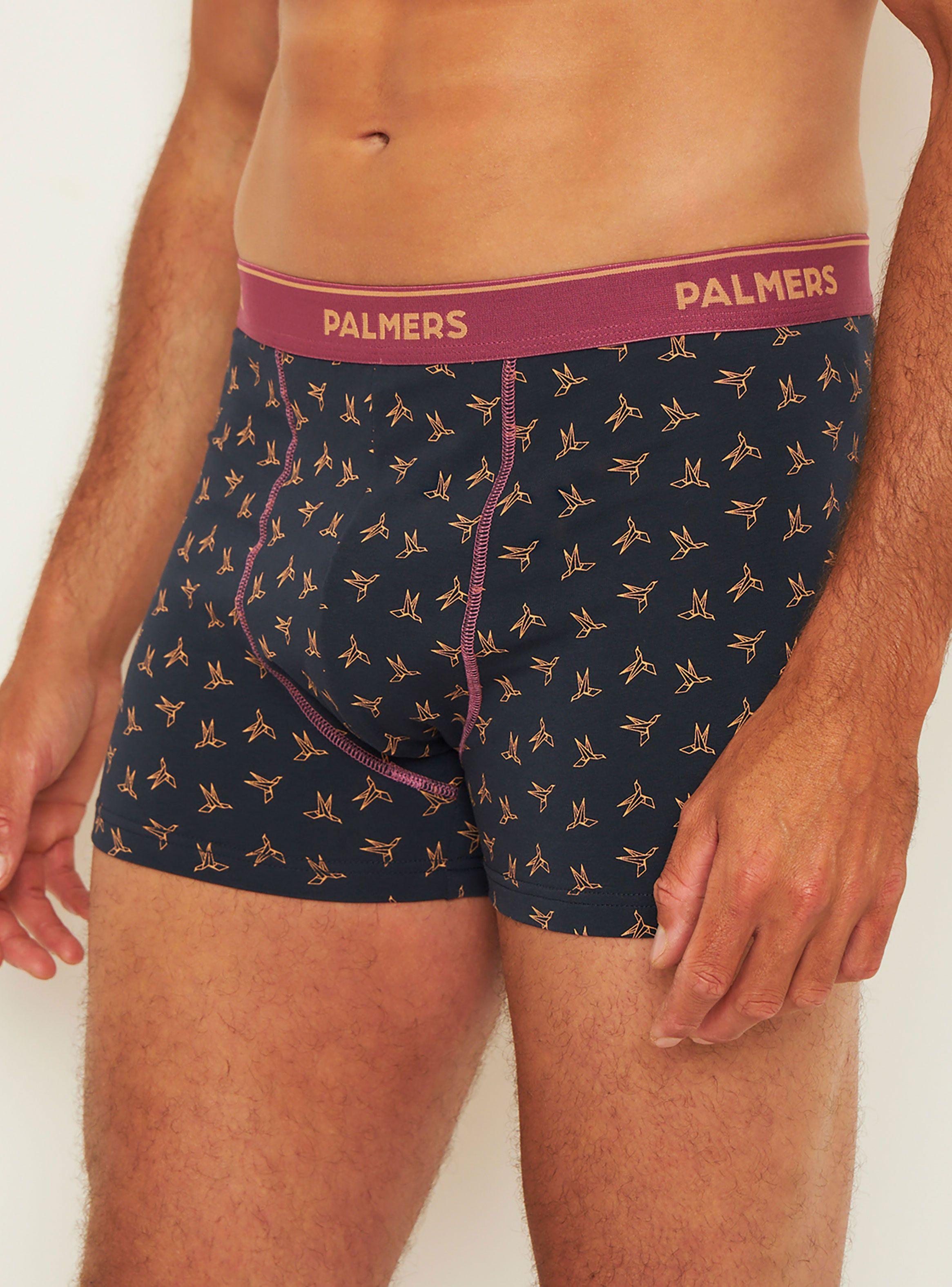 Pack 5 Boxer Medio Algodón Palmers P5109l97-1