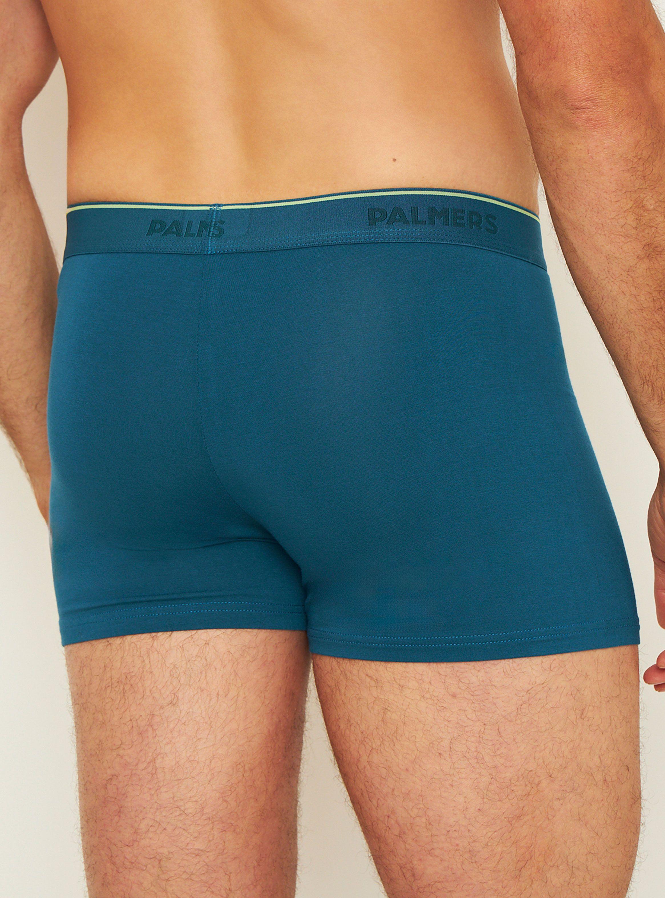 Pack 3 Bóxer Medio Bambu Palmers Hombre P309BM34-3