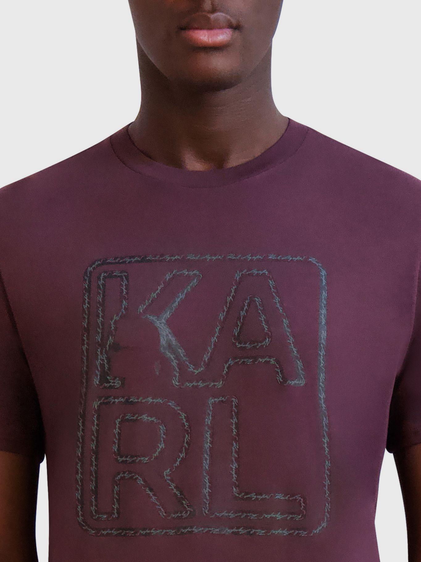 Polera gráfica con perfil Burdeo-4