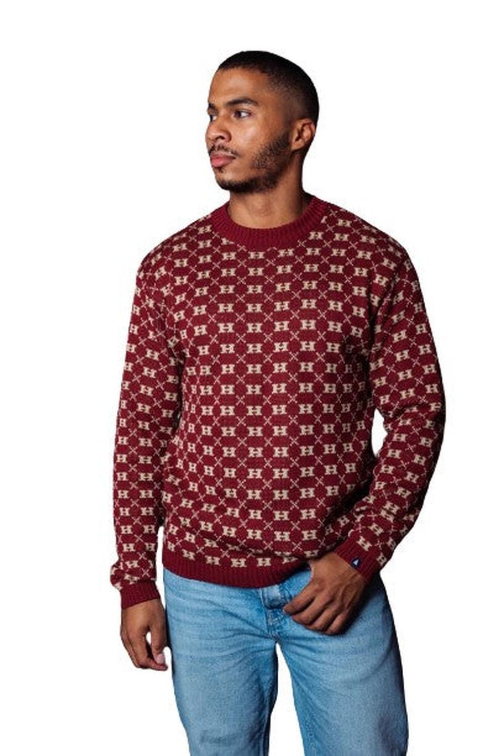 Harry Potter Hogwarts Pattern Sweater-0