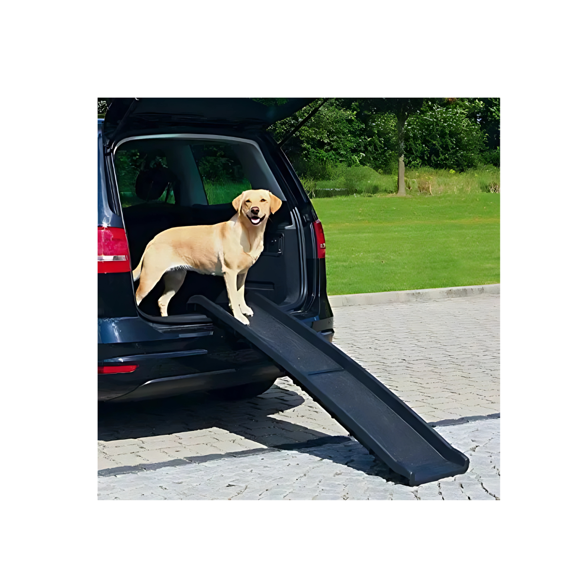 Rampa Mascotas Grandes Perros u Otros Animales-4