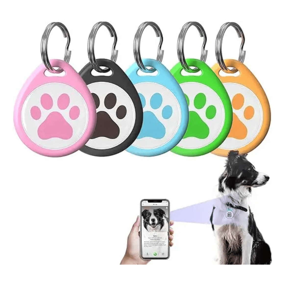 Placa Identificación ID para Mascotas-1
