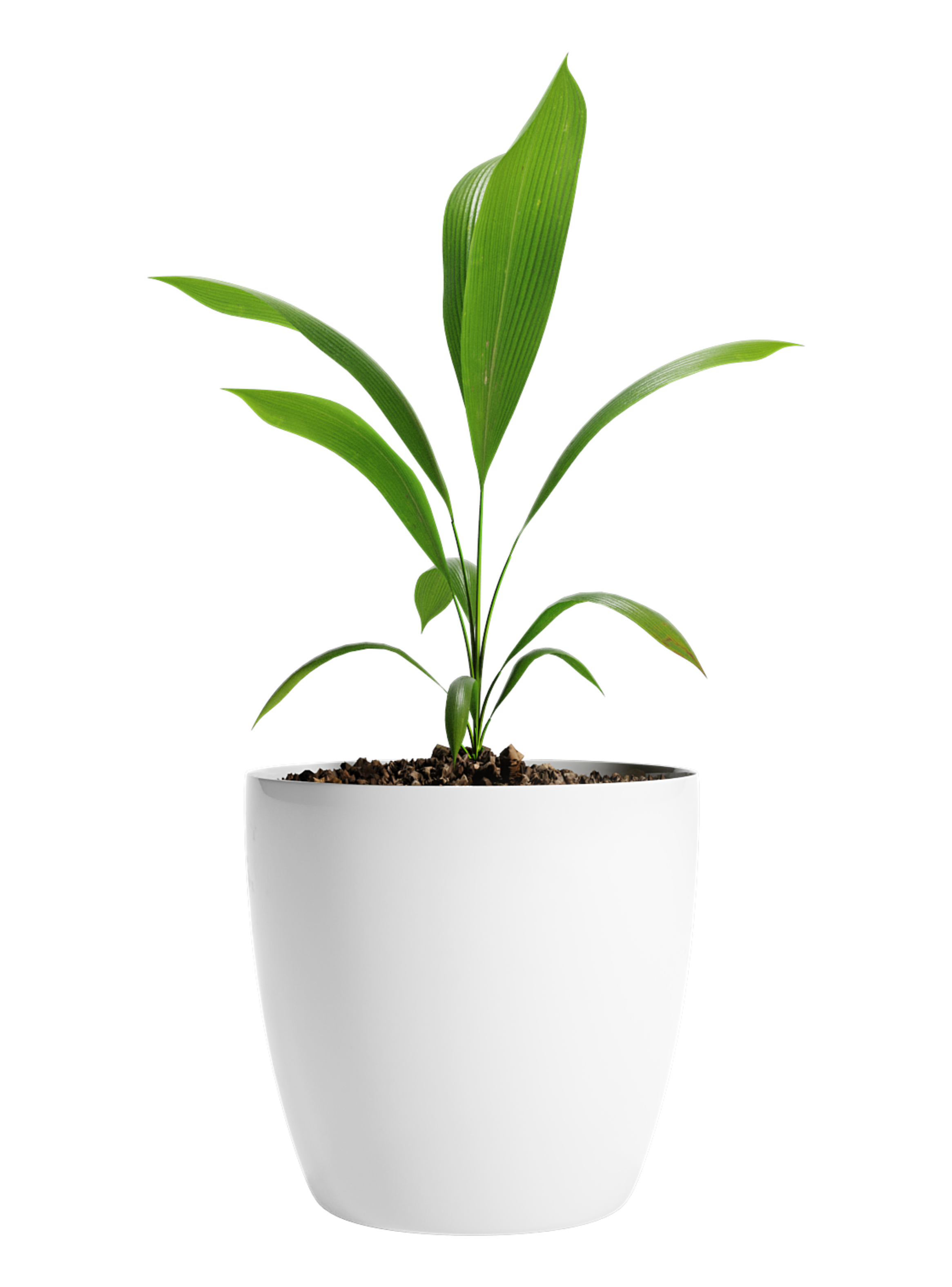 Pack Mayorista X10 Maceteros De Plástico 18x16 cm De 3 Litros-0