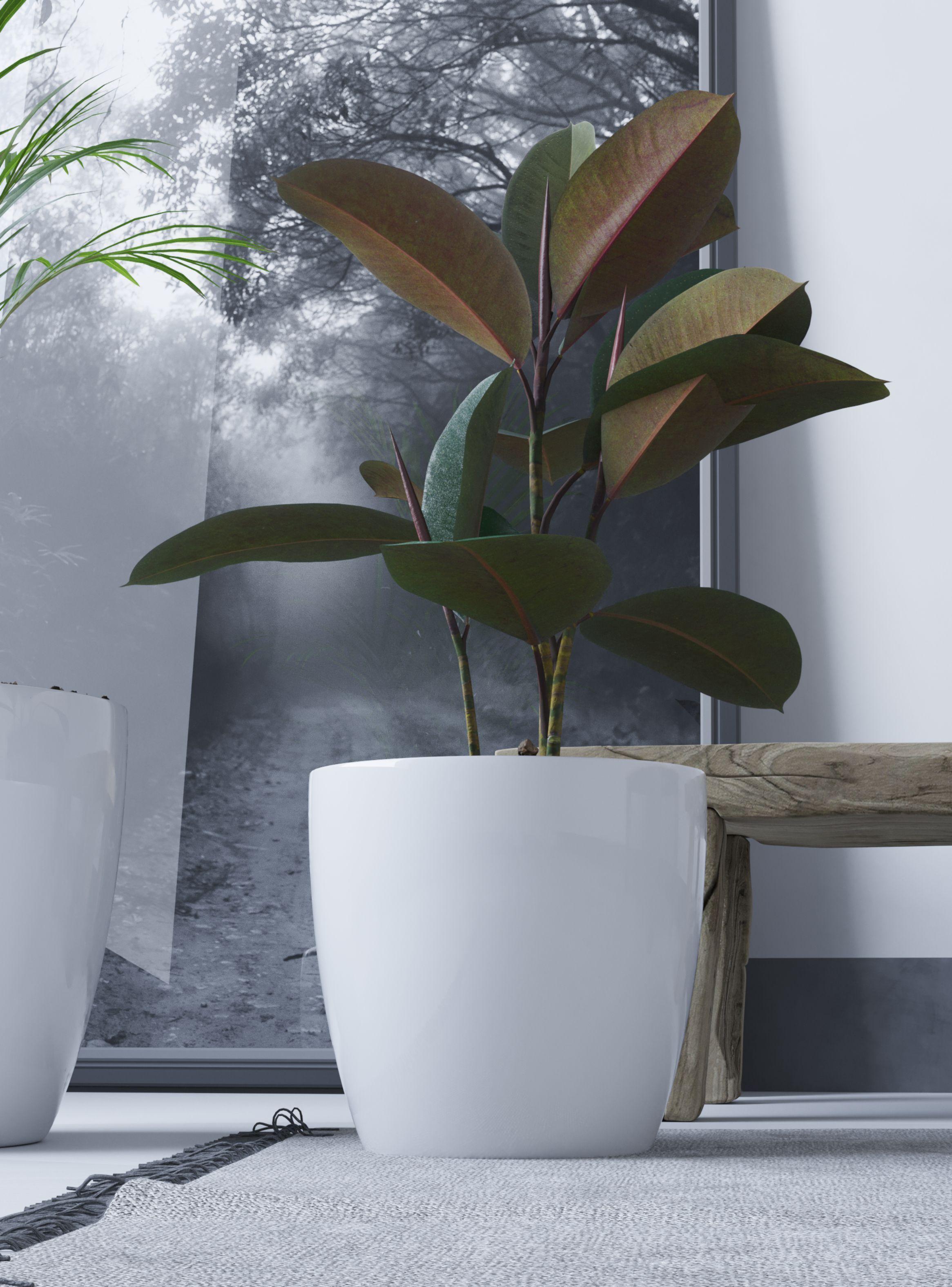 Pack Mayorista X10 Maceteros De Plástico 18x16 cm De 3 Litros-1