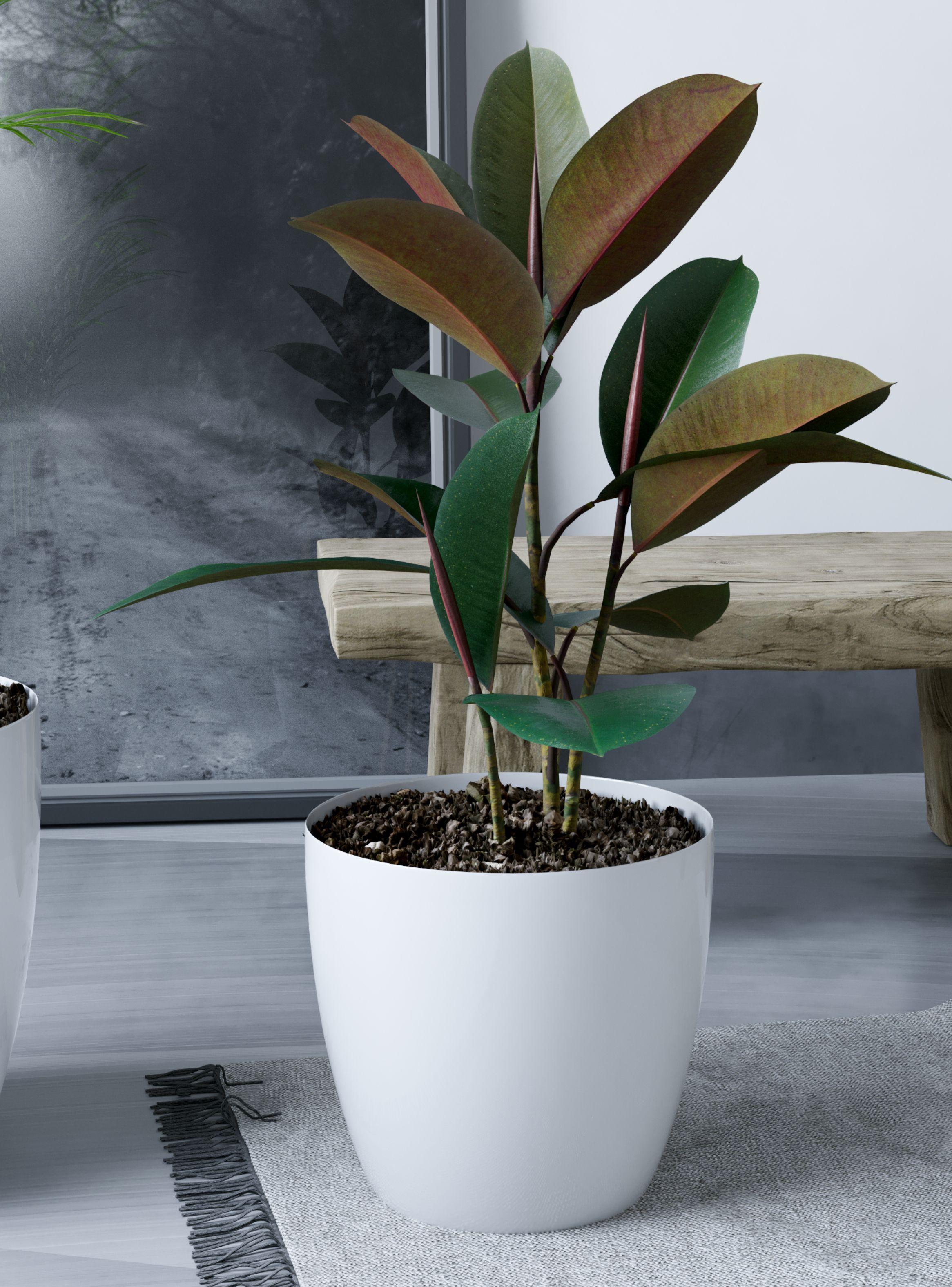 Pack Mayorista X10 Maceteros De Plástico 18x16 cm De 3 Litros-3