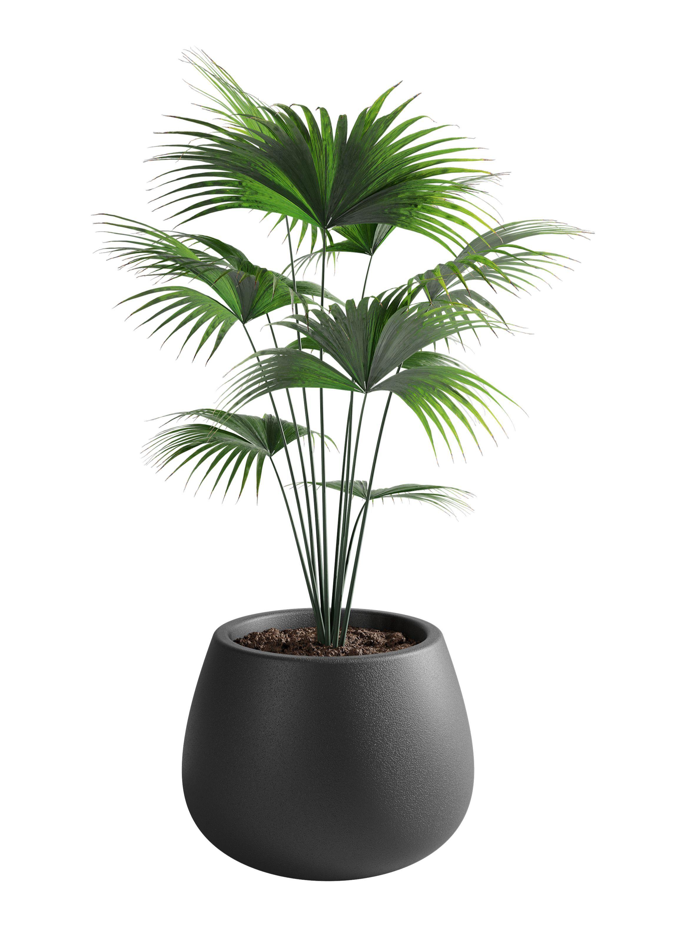 Macetero De Plástico Amalfi Modelo Batea 35x50 Cm Y 53 Litros-0