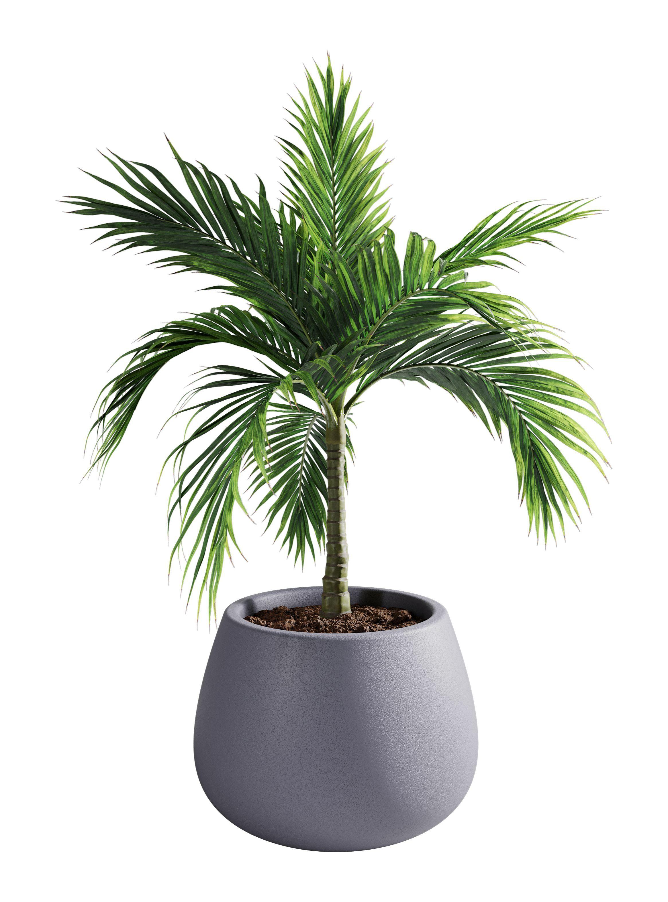 Macetero De Plástico Amalfi Modelo Batea 35x50 Cm Y 53 Litros-0