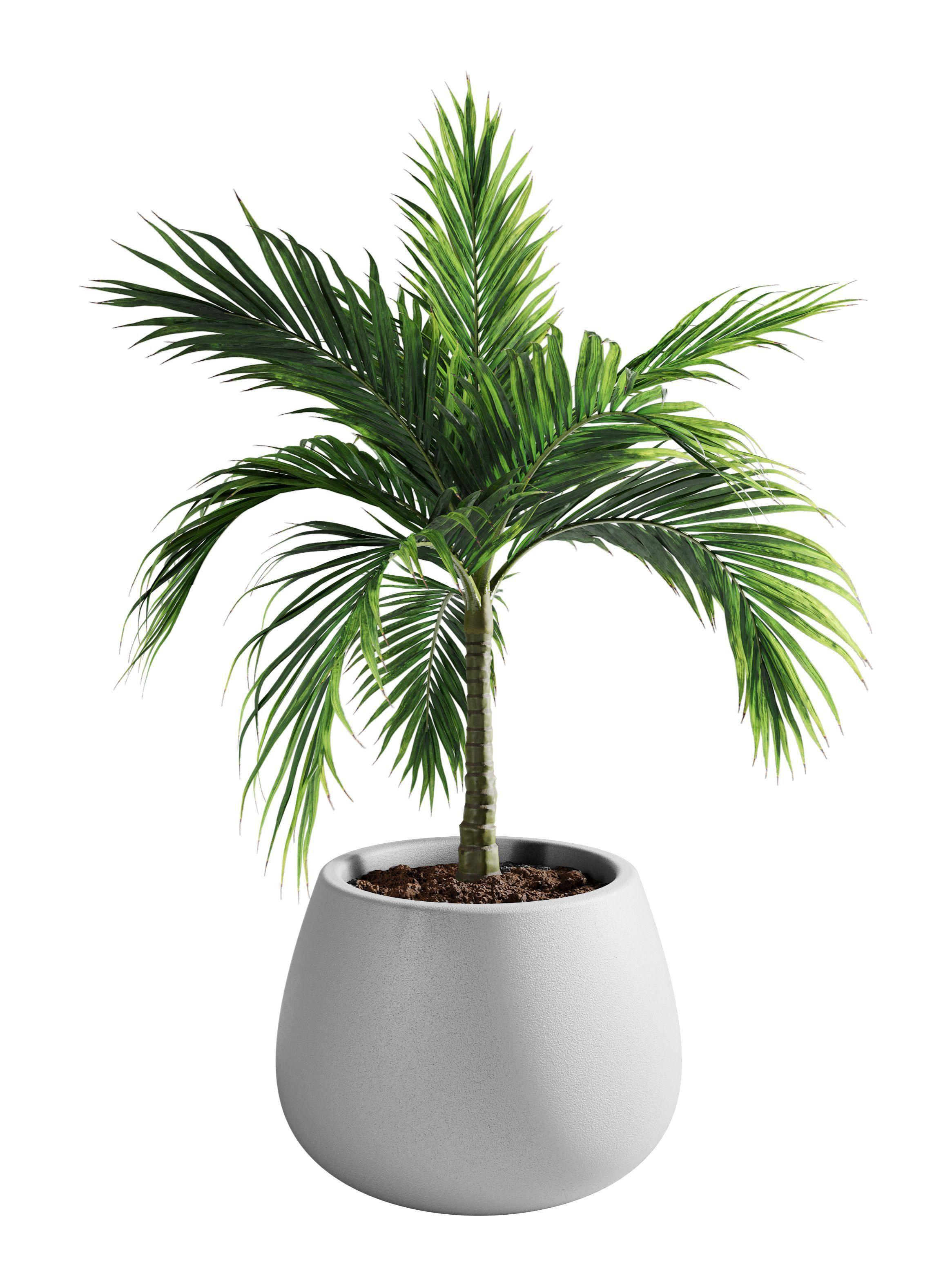 Macetero De Plástico Amalfi Modelo Batea 35x50 Cm Y 53 Litros-0