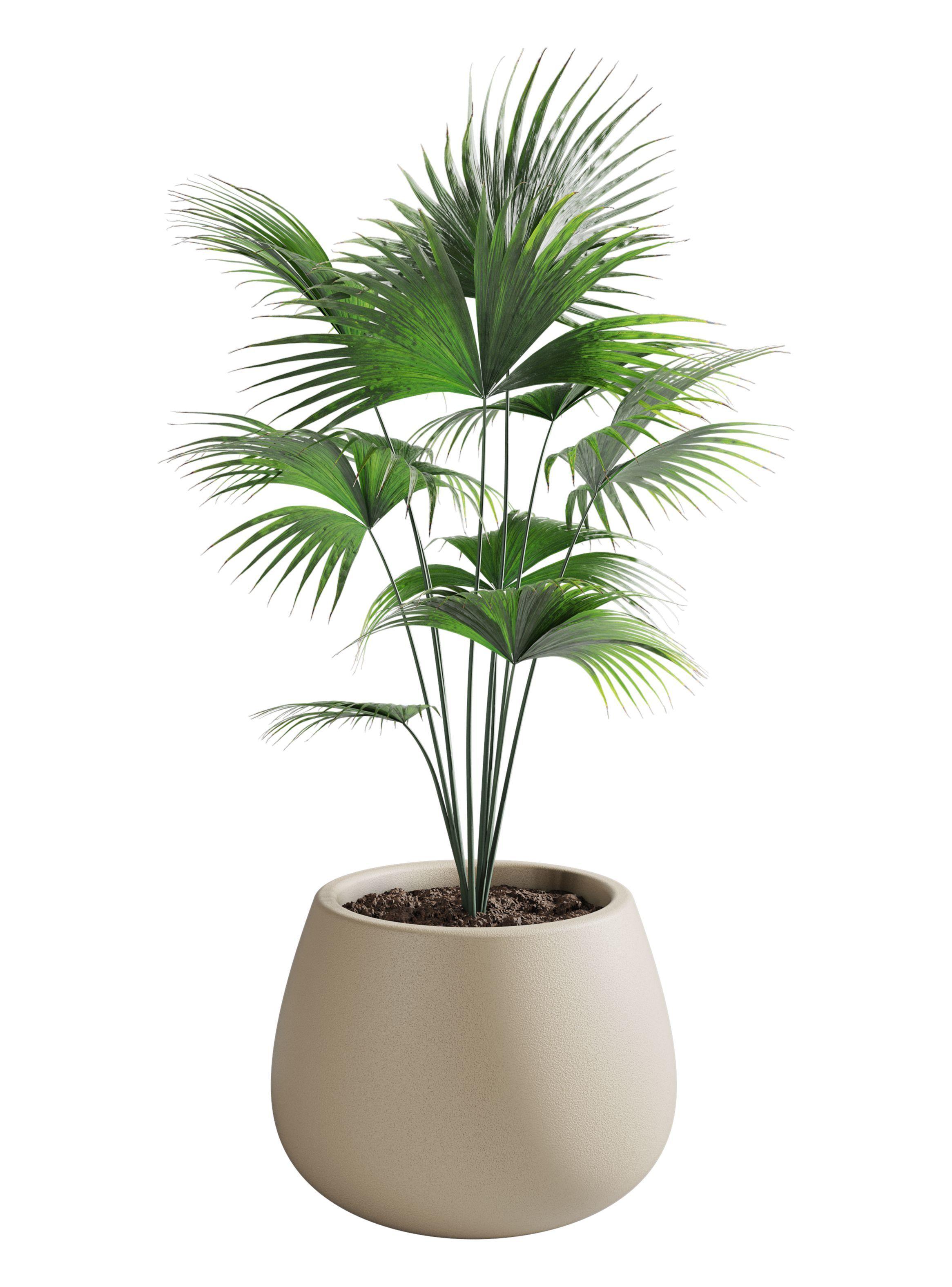Macetero De Plástico Amalfi Modelo Batea 35x50 Cm Y 53 Litros-0