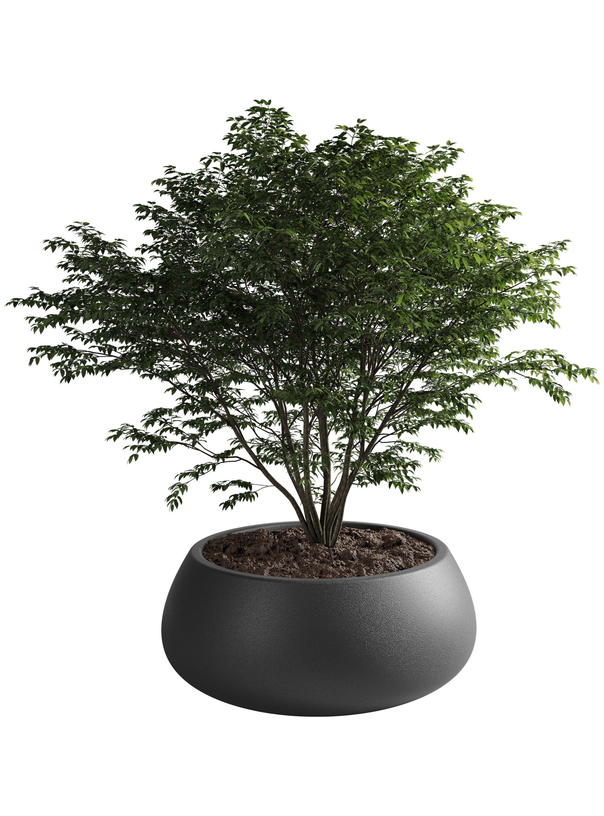 Macetero De Plástico Amalfi Modelo Batea 25x70 Cm Y 72 Litros-0