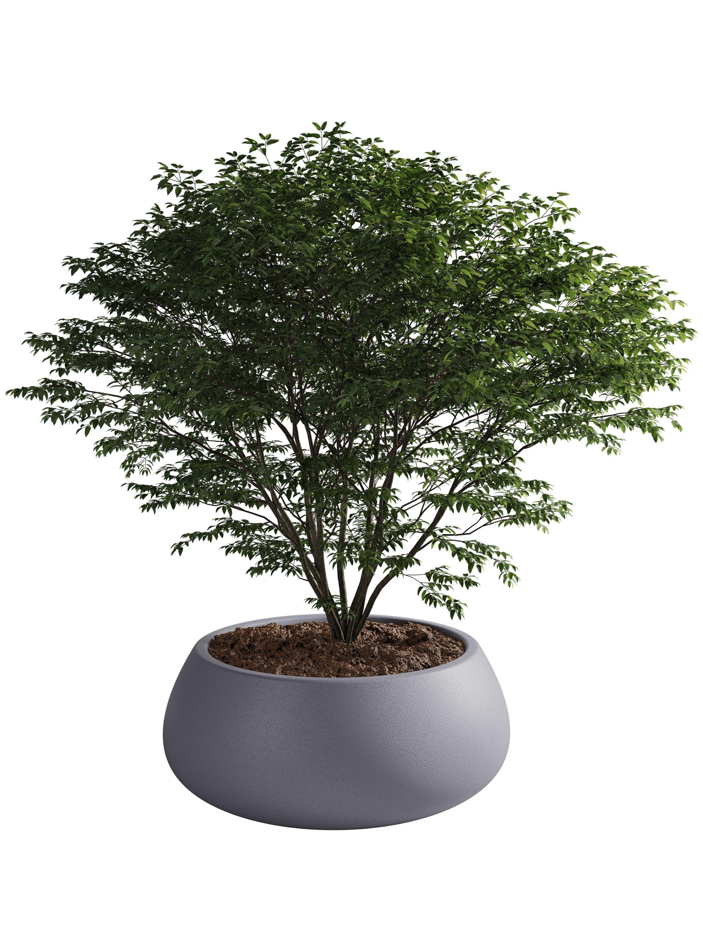 Macetero De Plástico Amalfi Modelo Batea 25x70 Cm Y 72 Litros-0
