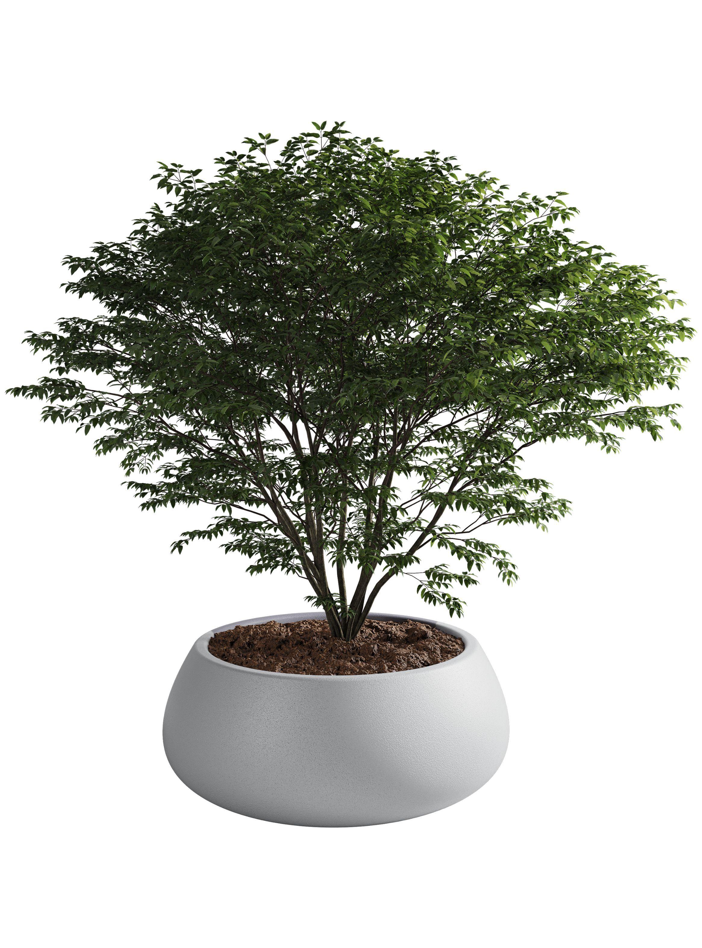 Macetero De Plástico Amalfi Modelo Batea 25x70 Cm Y 72 Litros-0