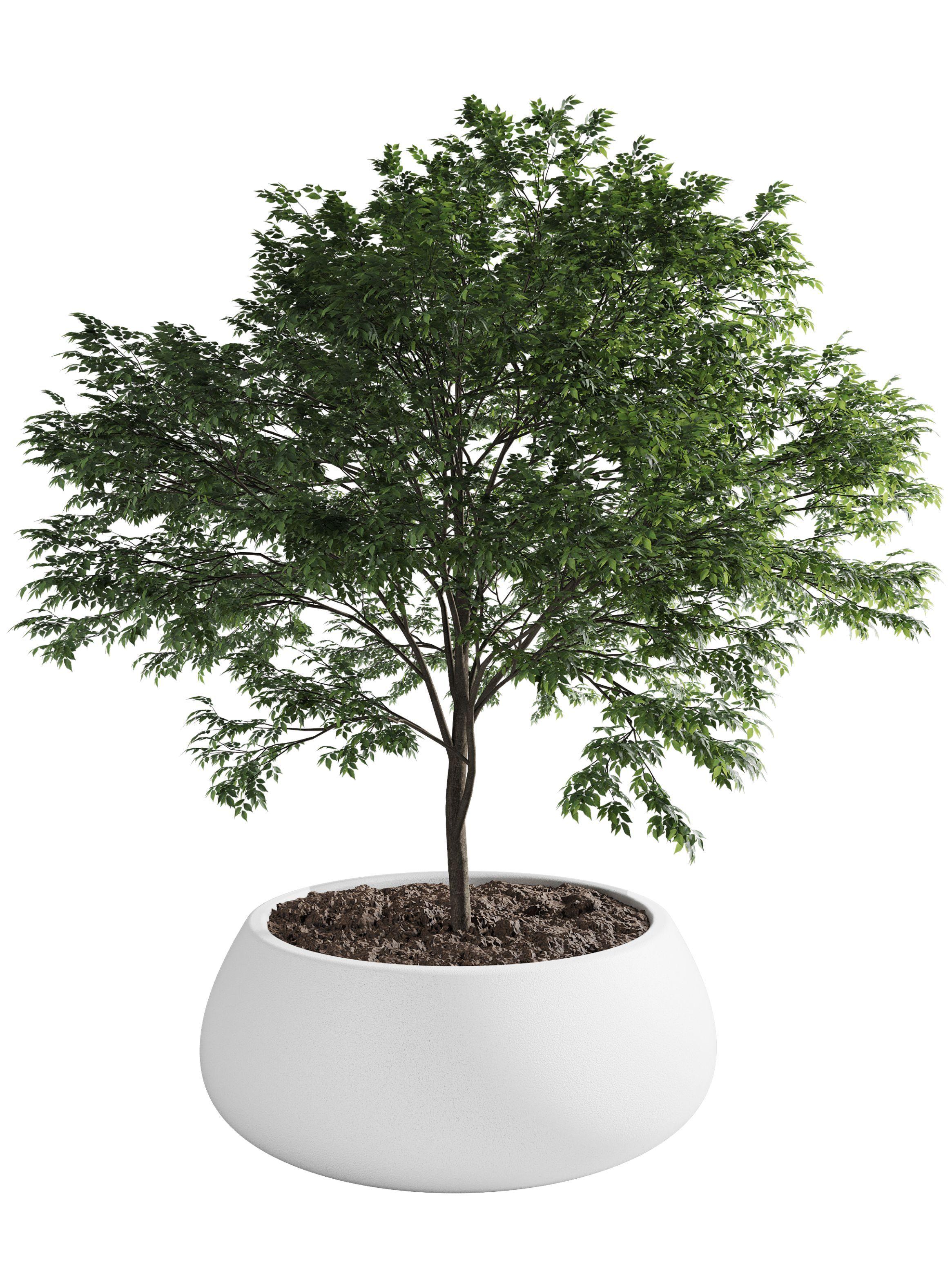 Macetero De Plástico Amalfi Modelo Batea 25x70 Cm Y 72 Litros-0