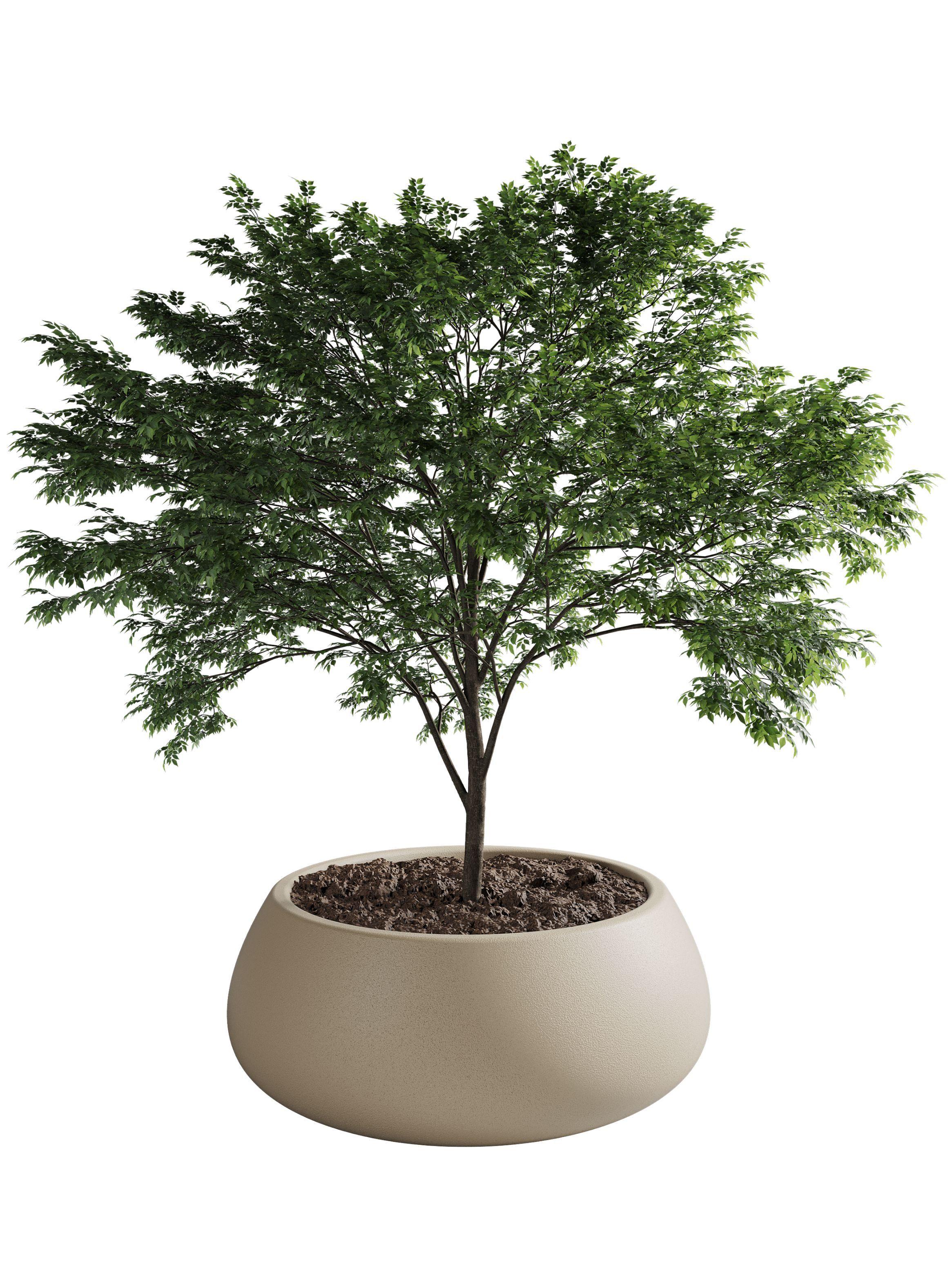 Macetero De Plástico Amalfi Modelo Batea 25x70 Cm Y 72 Litros-0