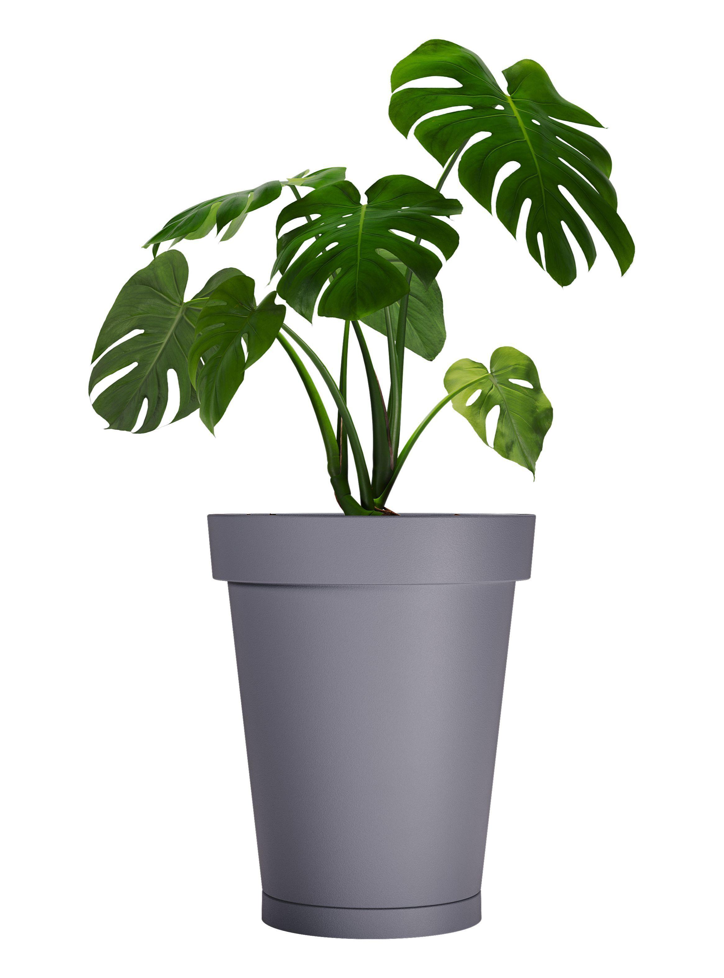 Macetero De Plástico Amalfi Modelo Clásica 55x46 Cm Y 54 Litros Con Plato-0
