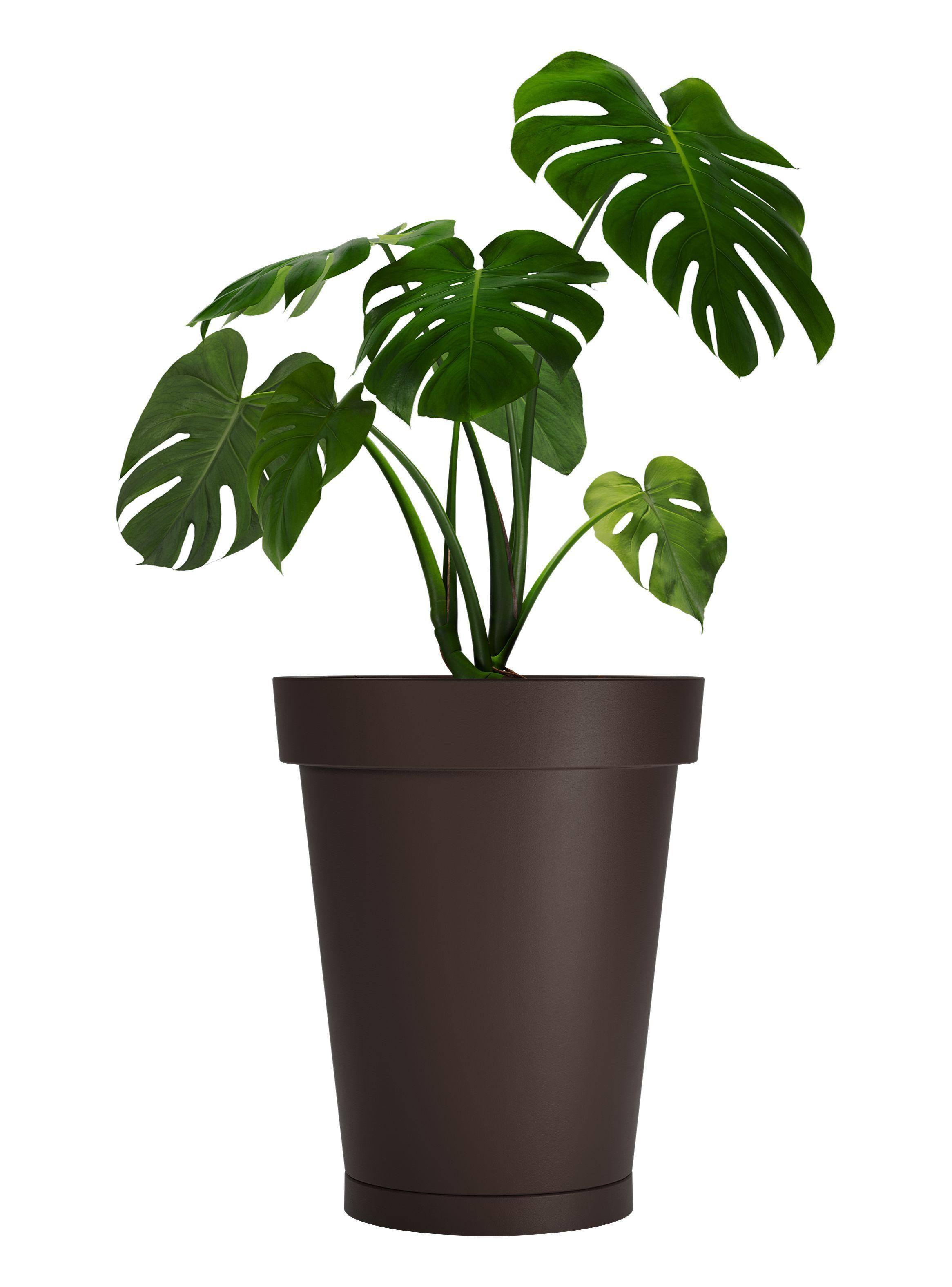 Macetero De Plástico Amalfi Modelo Clásica 55x46 Cm Y 54 Litros Con Plato-0
