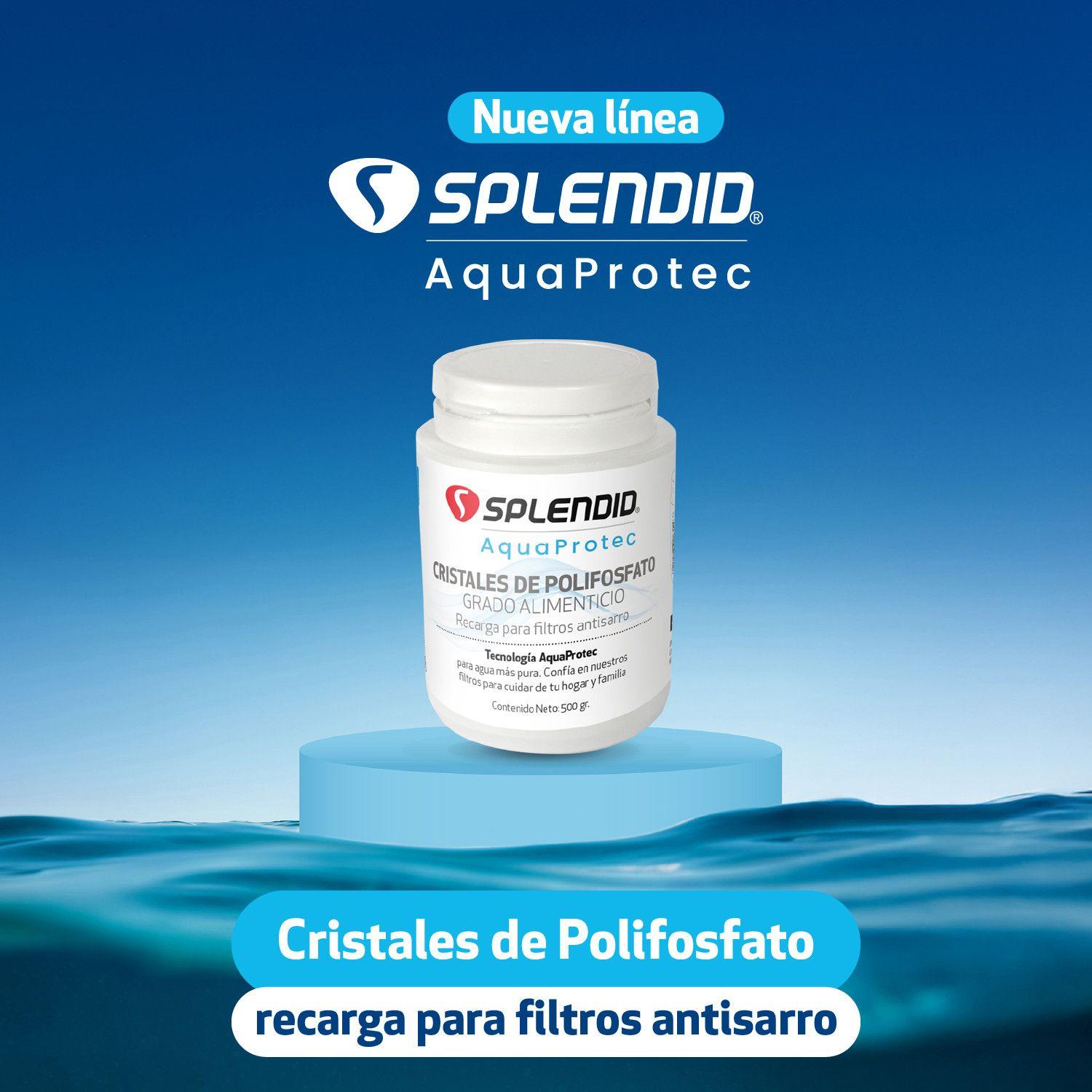 Pack Filtro de agua Antisarro 250gr + Recarga 500gr Splendid-1