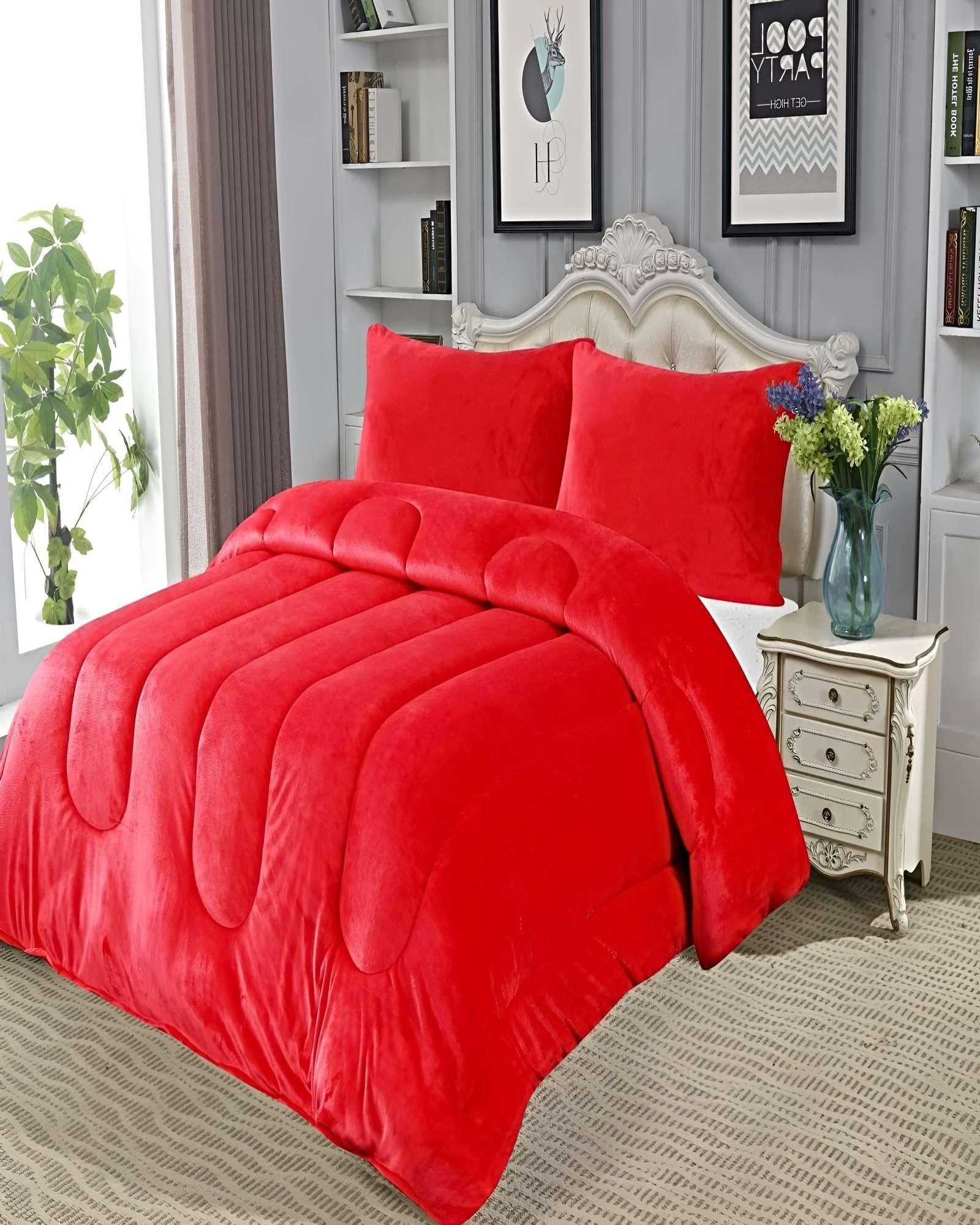 SET COBERTOR DE INVIERNO PLUSH 1.5 PLAZA 180X200CM P16-3