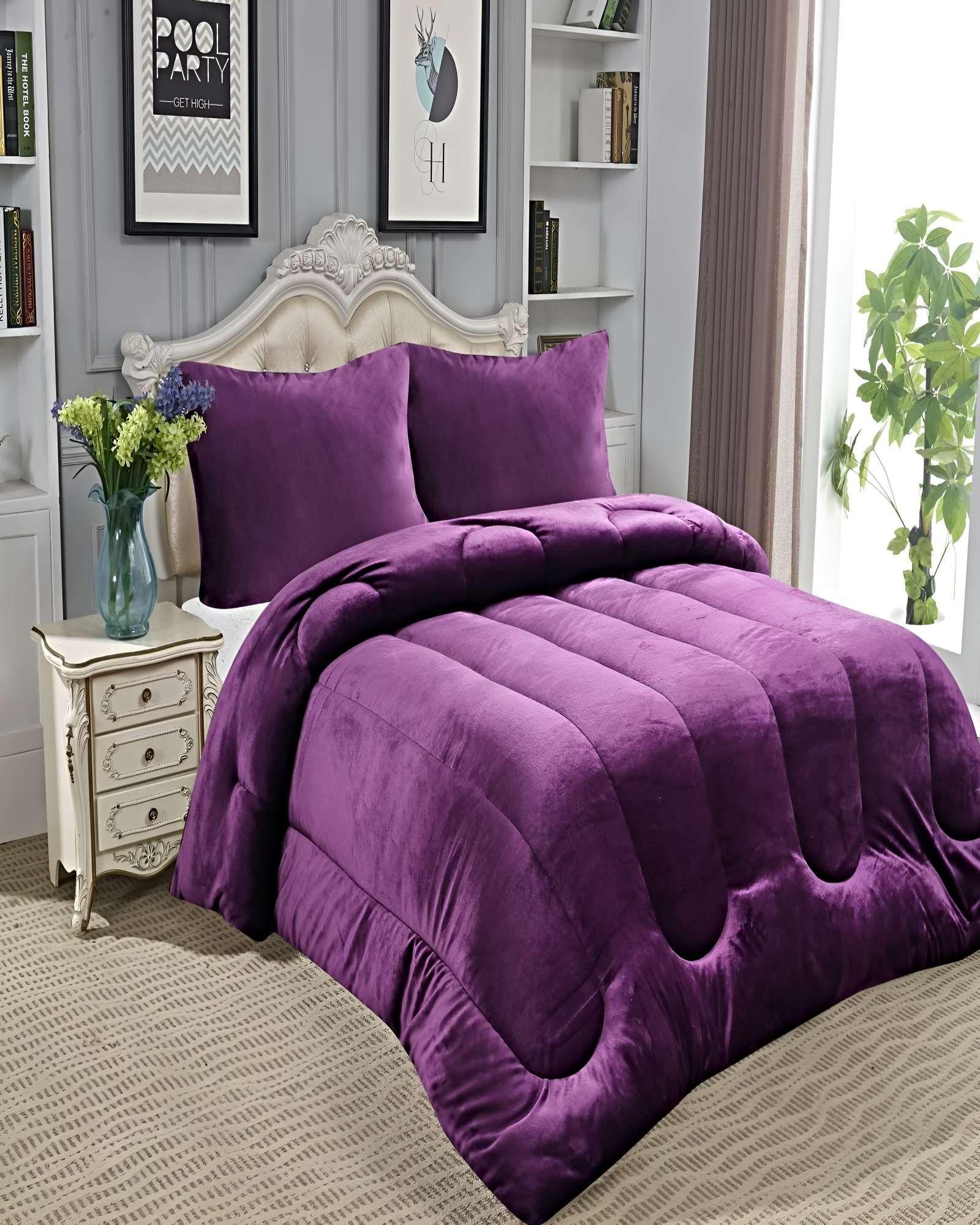 SET COBERTOR DE INVIERNO PLUSH 2 PLAZAS 230X250CM P9-2