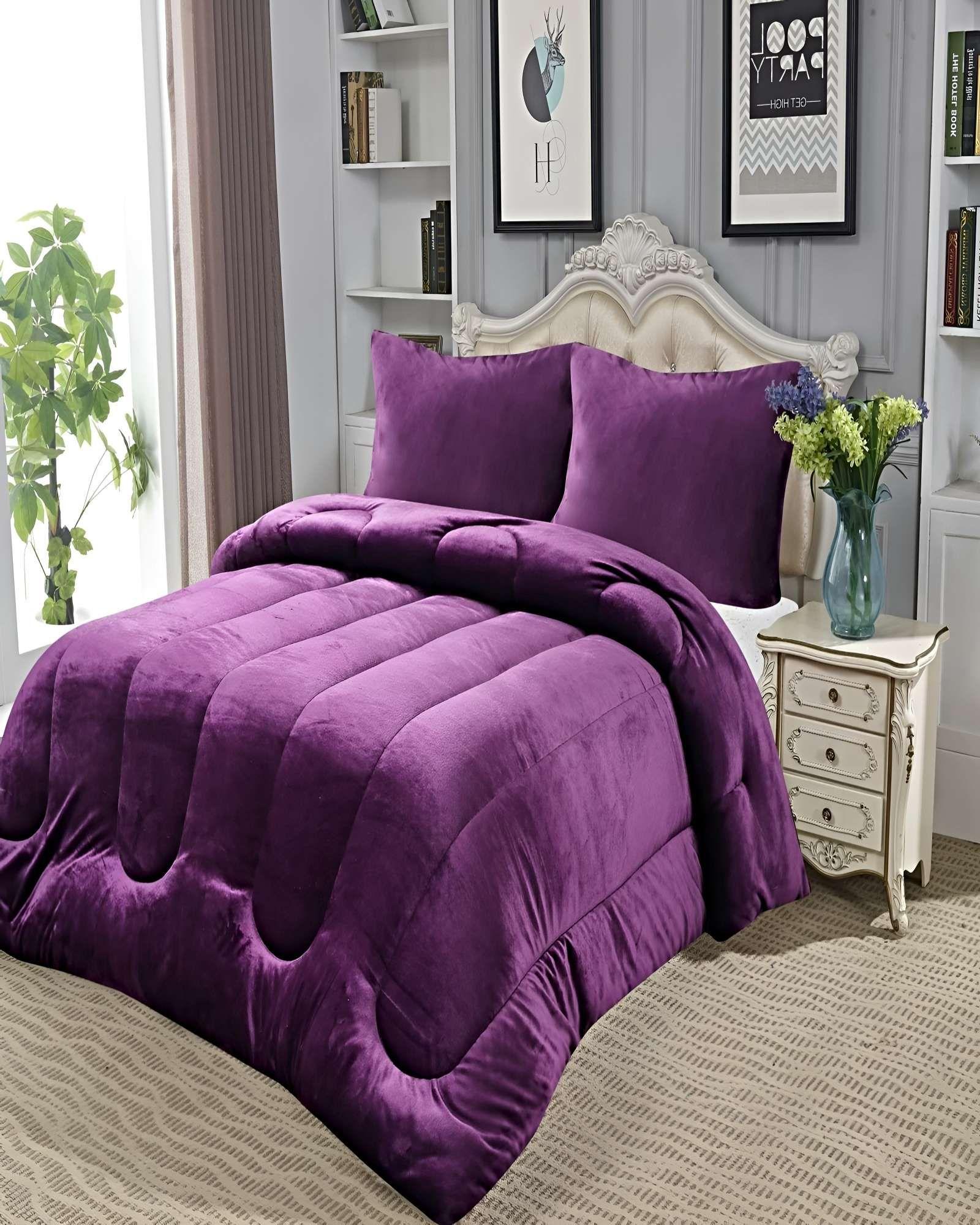 SET COBERTOR DE INVIERNO PLUSH 1.5 PLAZA 180X200CM P12-3