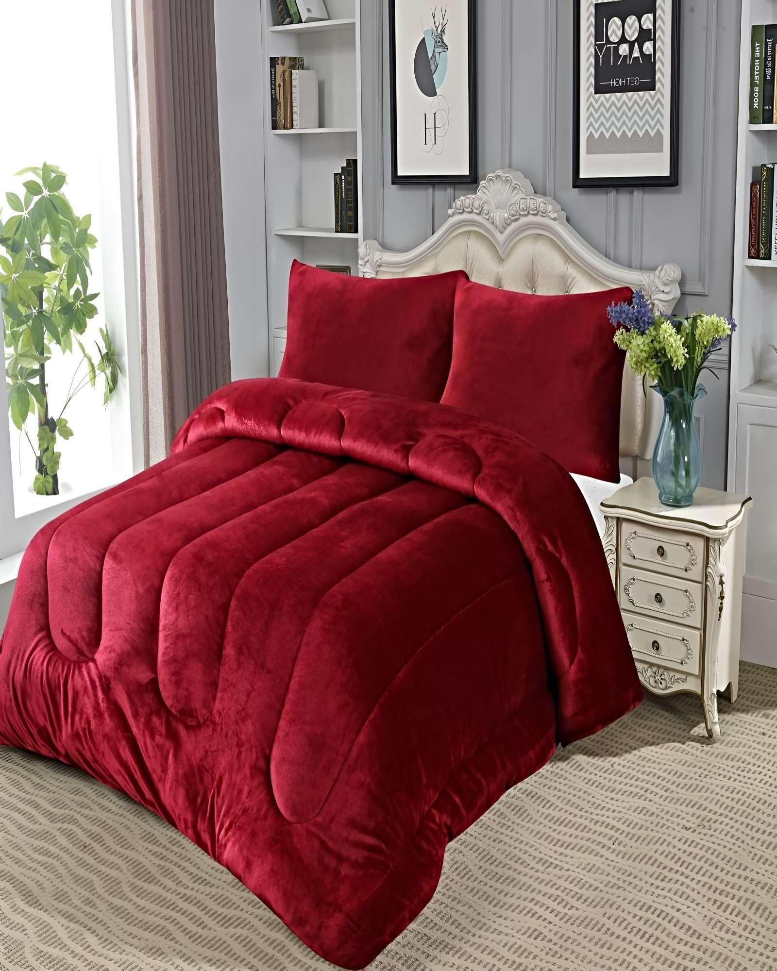 SET COBERTOR DE INVIERNO PLUSH 2 PLAZAS 230X250CM P10-3