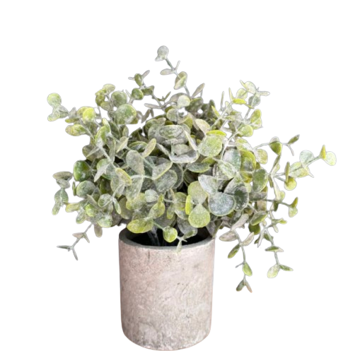 Plantas con macetero-0