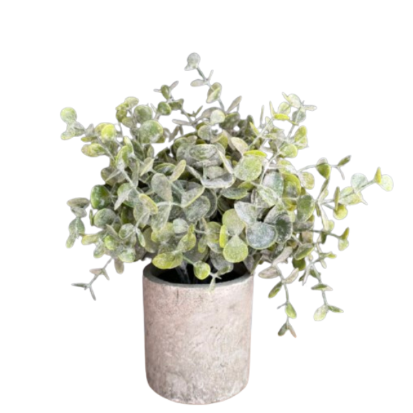 Plantas con macetero-1
