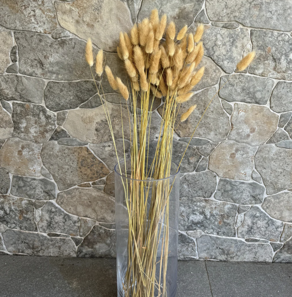 Flores secas-1